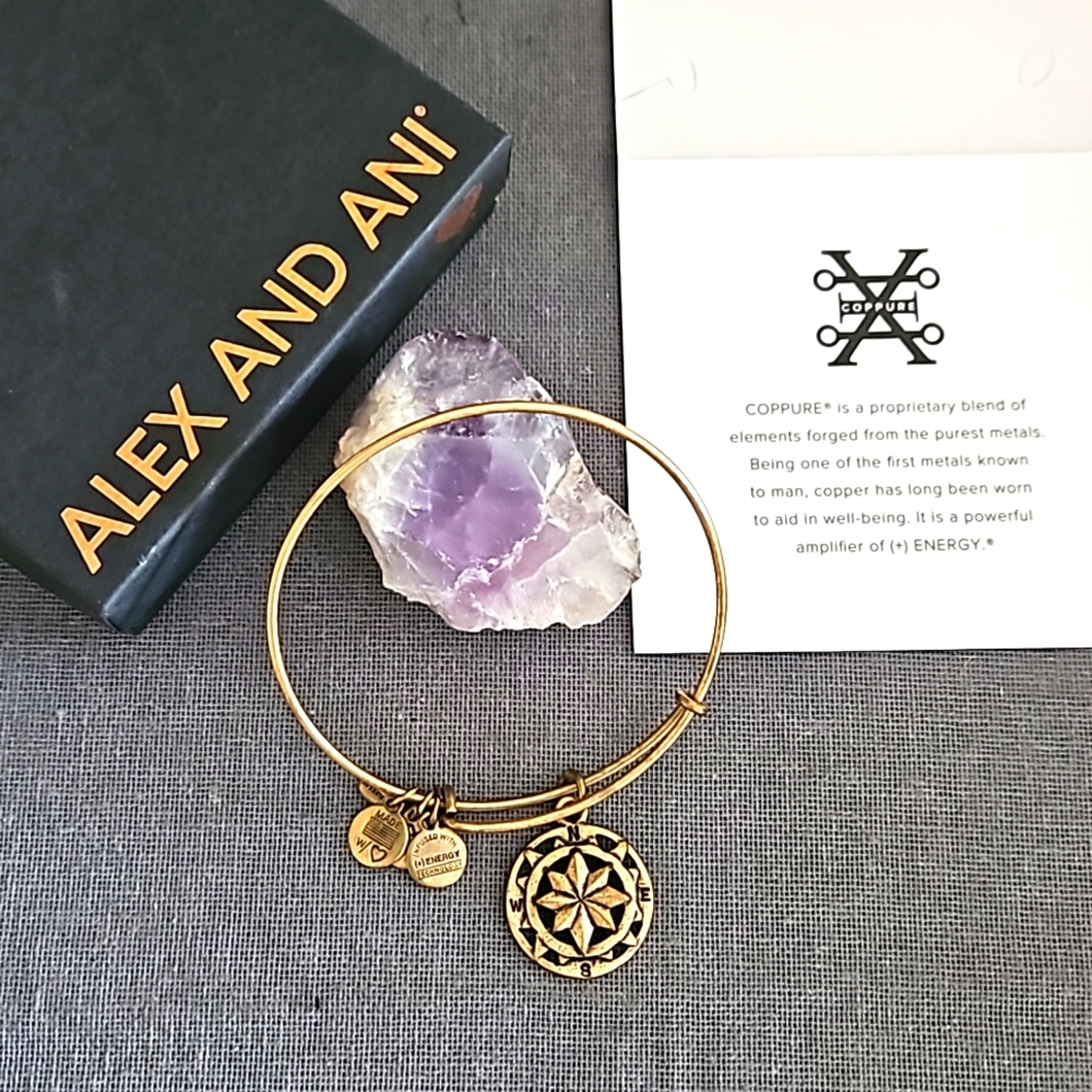 Alex & Ani Compass Coppure bangle bracelet w box EUC